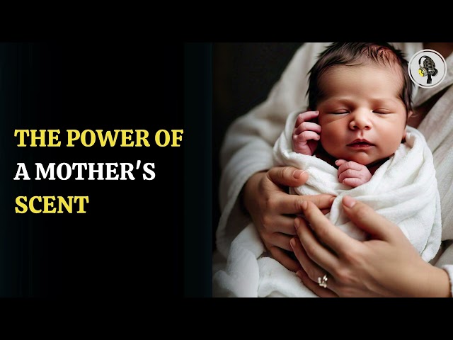 ⁣The Power Of Mother's Scent | WION Podcast