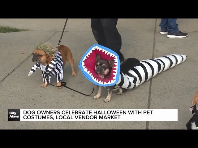 ⁣Dog owners celebrate Howl-oween with pet costumes, local vendor market