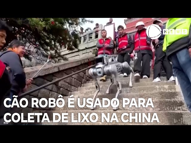 ⁣"Cão robô" é usado para coleta de lixo em área turística na China