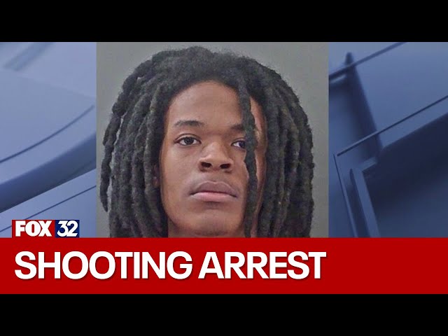 ⁣Illinois man arrested for attempted murder following I-65 shooting in Indiana: police