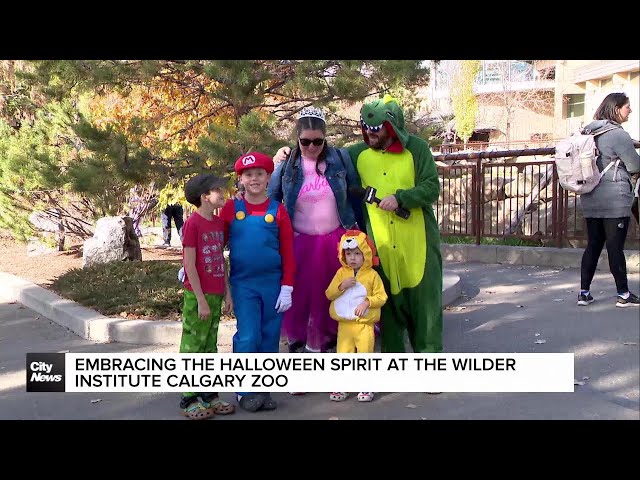 ⁣Getting into the Halloween spirit at Zoo Boo in Calgary