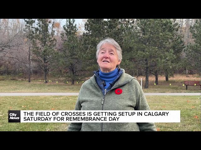 ⁣The Field of Crosses set up in Calgary