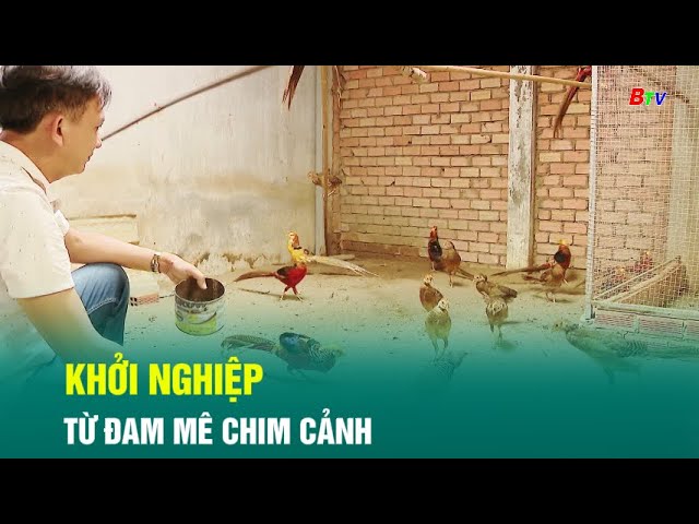 ⁣Khởi nghiệp từ đam mê chim cảnh