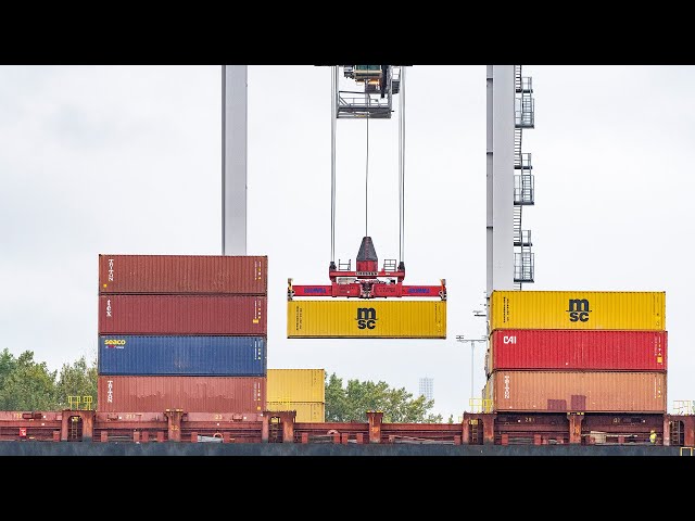 ⁣One-day port workers strike in Montreal | Analyst says it could be a "signal" for more job