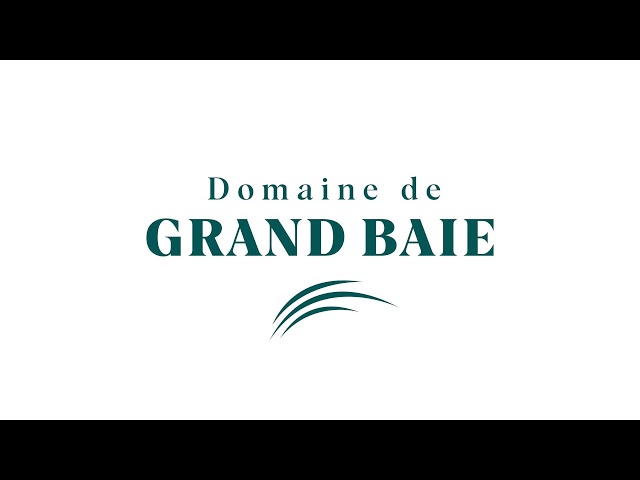 ⁣Rencontre avec Saheed Eyasim Directeur Commercial du Domaine de Grand Baie