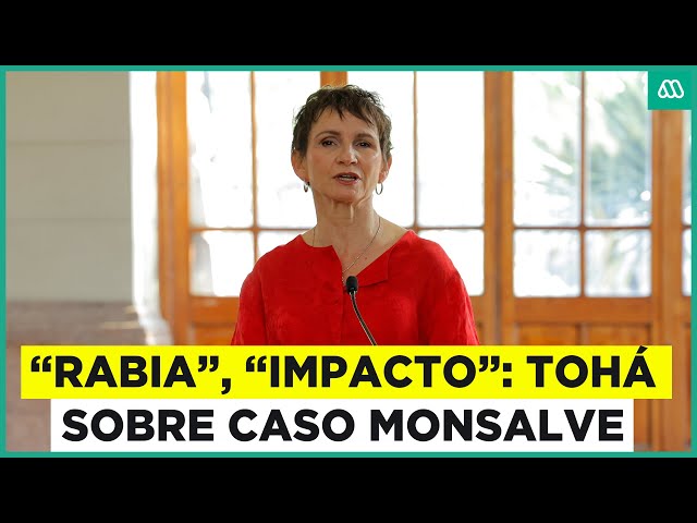 ⁣"Rabia", "impacto" y "repugnante": Los dichos de Tohá a denuncias cont