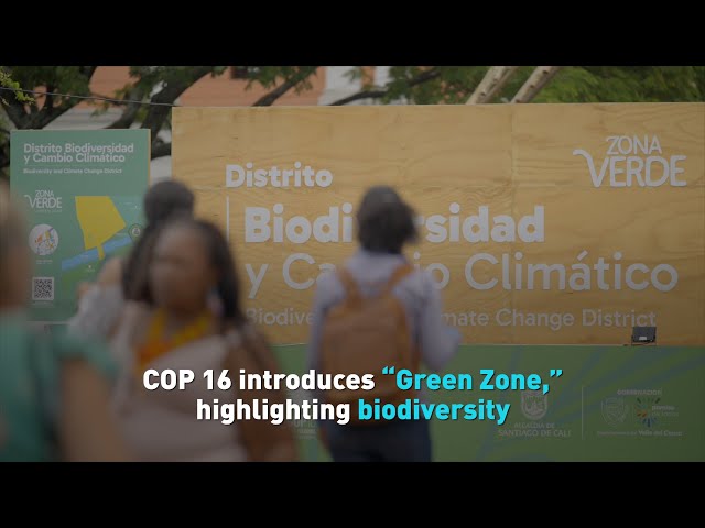 ⁣COP 16 introduces “Green Zone,” highlighting biodiversity Correct