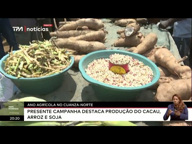 ⁣Ano agrícola no Cuanza-Norte : Presente campanha destaca produção de cacau, arroz e soja