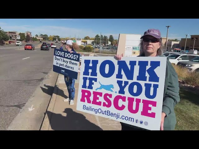 ⁣Centennial pet store owner disputes protesters' claim that store gets dogs from puppy mills