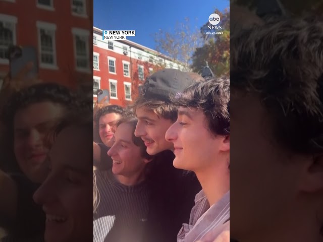 ⁣Timothée Chalamet crashes Timothée Chalamet look-alike contest in New York City