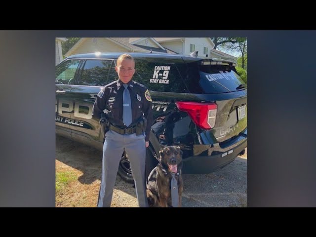 ⁣Gary police K9 helps bring missing child home safe