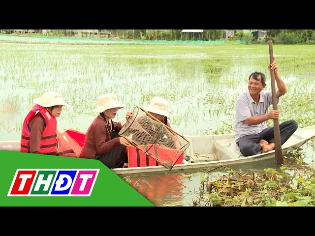 ⁣Nông dân khai thác du lịch mùa nước nổi | Tái cơ cấu nông nghiệp - 27/10/2024 | THDT