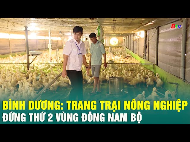 ⁣Bình Dương: Trang trại nông nghiệp đứng thứ 2 vùng Đông Nam Bộ