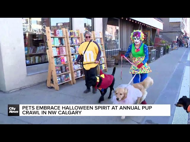 ⁣Pets embrace Halloween spirit at annual Pup Crawl in Calgary