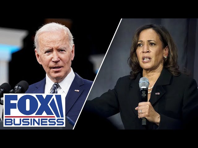 ⁣The policies of Biden-Harris are 'actual econmic facism': Dagen McDowell