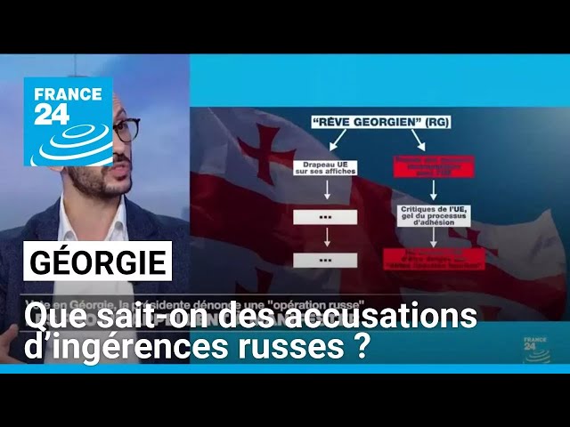 ⁣Géorgie : que sait-on des accusations d’ingérences russes ? • FRANCE 24