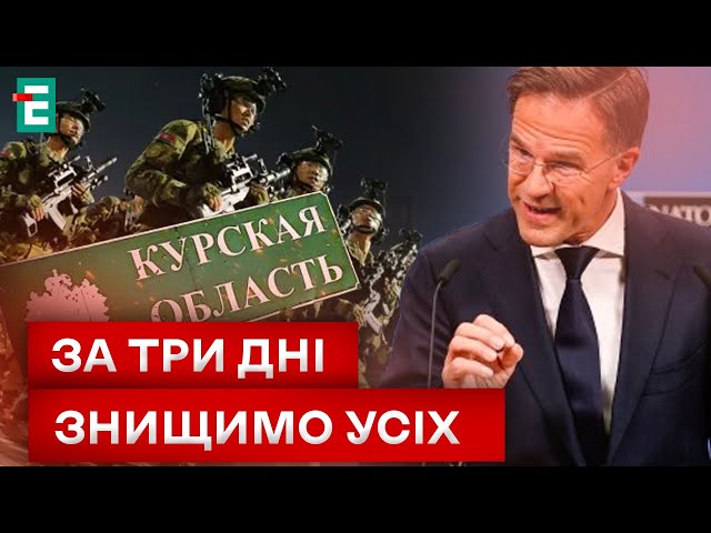 ⁣❗️ОФІЦІЙНО: НАТО підтвердив присутність КНДР на боці рф