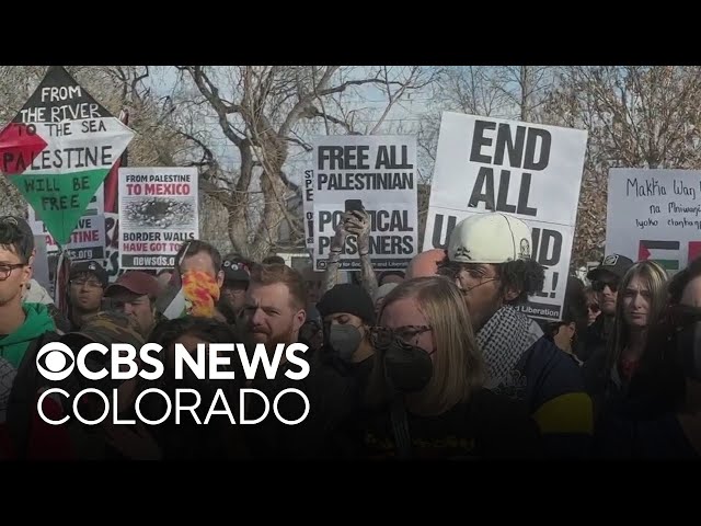 ⁣Colorado voters weigh Gaza policies of presidential race in their decisions