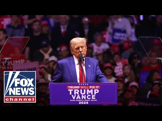 ⁣'Once-in-a-lifetime': Highlights from Trump's historic Madison Square Garden rally