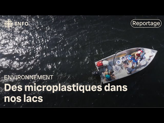 ⁣L'impact des microplastiques sur les plans d'eau douce | La semaine verte