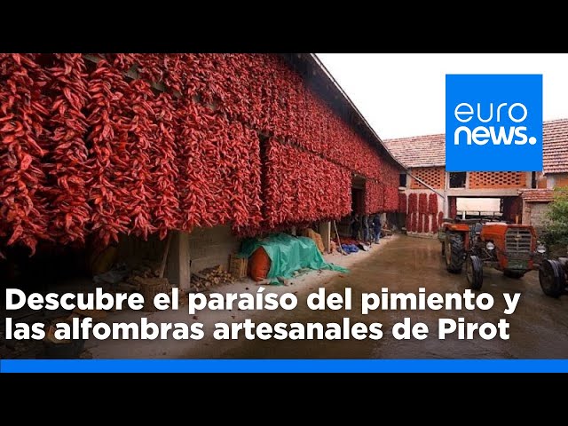 ⁣Explora la aldea de Donja Lokošnica y las alfombras artesanales de Pirot, patrimonio de la Unesco