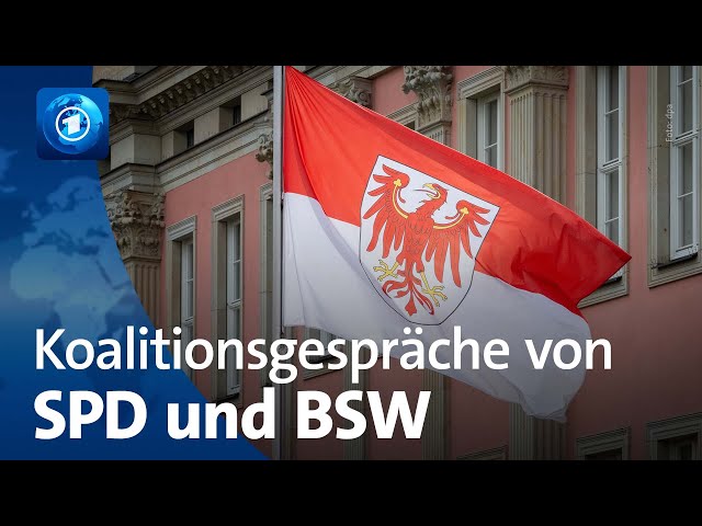 ⁣Regierungsbildung in Brandenburg: SPD und BSW wollen Koalitionsgespräche aufnehmen