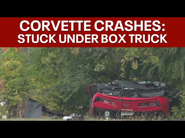 ⁣Corvette ran red light and drove under a box truck