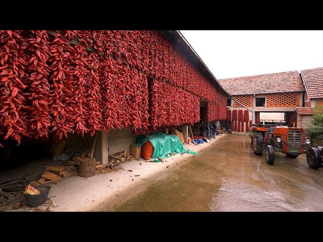 ⁣Explore Serbia's red village of Donja Lokošnica and the Unesco-listed Pirot carpet craft