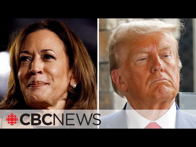 ⁣Polls have Harris, Trump neck and neck a week from U.S. election