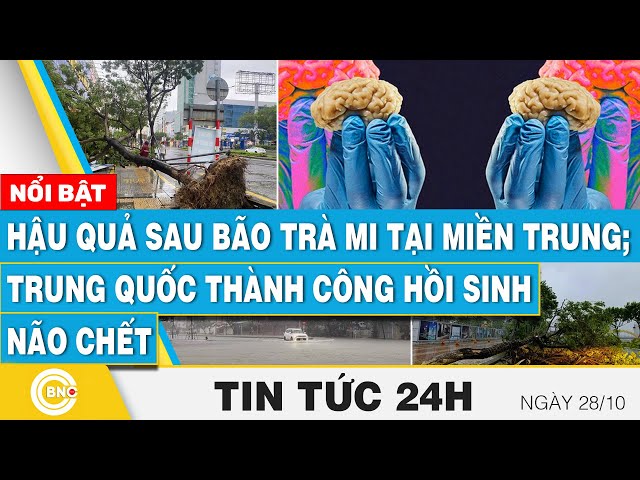 ⁣Tin 24h | Hậu quả sau bão Trà Mi tại miền Trung; Trung Quốc thành công hồi sinh não chết | BNC Now