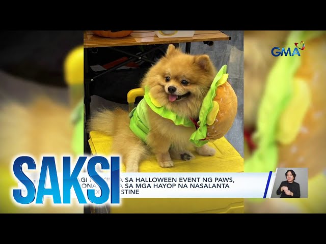 ⁣Furbabies, nagbihis halloween din this spooky season | Saksi