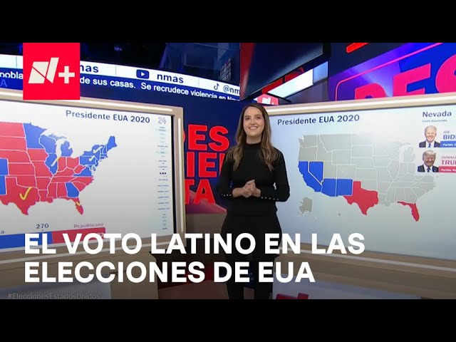 ⁣Elecciones EUA 2024: ¿Cuáles son los porcentajes del voto hispano? - Despierta