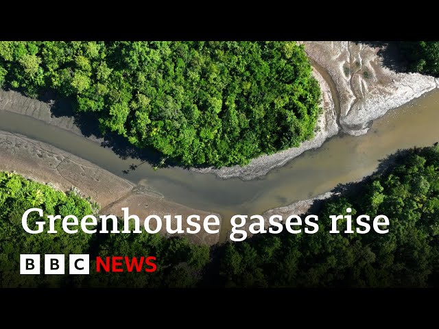 ⁣Greenhouse gases rising at record levels, UN says | BBC News