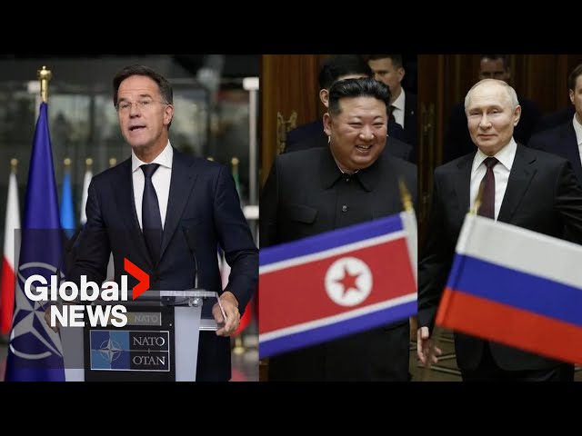 ⁣North Korea troops in Russia's Kursk "sign of Putin's growing desperation": NATO