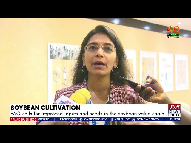 ⁣Prime Business (28-10-24) | FAO calls for improved inputs and seeds in the soybean value chain