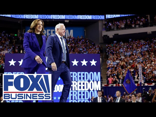 ⁣Live: Kamala Harris, Tim Walz hold campaign rally in Michigan