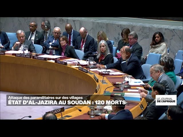 ⁣Soudan : une attaque des paramilitaires sur des villages fait 120 morts • FRANCE 24