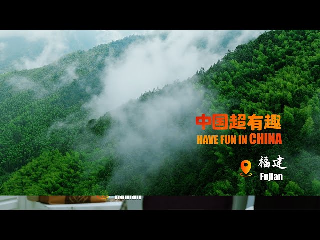 ⁣Have Fun in China·Fujian | High tea in the misty Wuyi Mountains