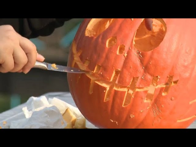 ⁣No Comment : préparation de citrouilles à l'approche d'Halloween