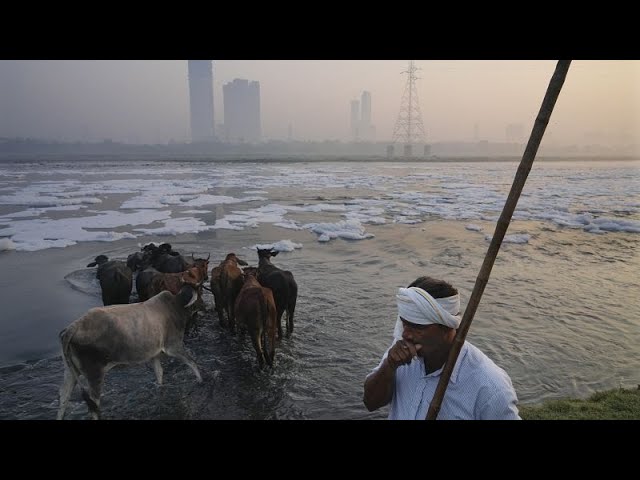 ⁣No Comment. Yamuna rivière sancrée - et hautement toxique - à New Delhi