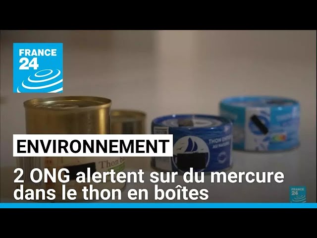 ⁣Mercure dans le thon en boîtes : une "contamination généralisée" alertent 2 ONG • FRANCE 2