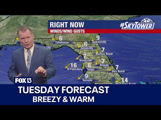 ⁣Tampa weather | Breezy & warm