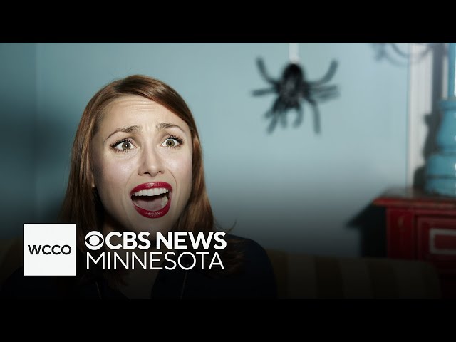 ⁣Death, taxes and spiders: Which common fear is Minnesota's biggest?