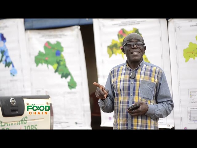 ⁣Sustainable Farming: Restoring Ghana's declining soil fertility for food production | Food Chai