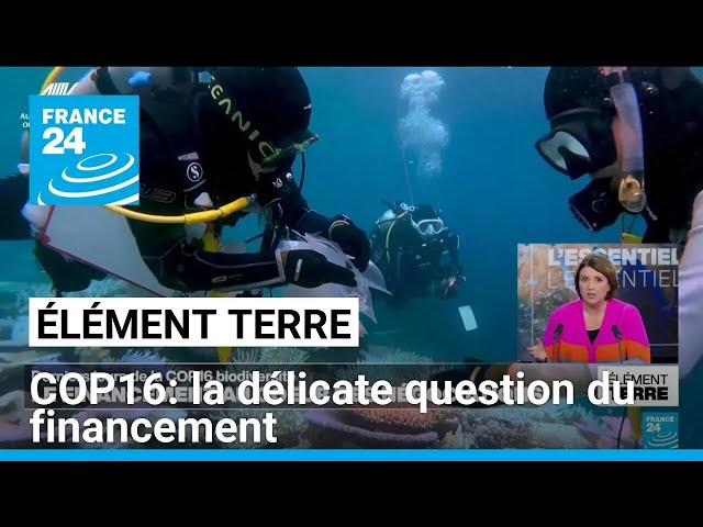 ⁣COP16: Le financement au cœur des négociations • FRANCE 24