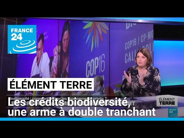 ⁣Les "crédits biodiversité", un outil de protection à manier avec précaution • FRANCE 24