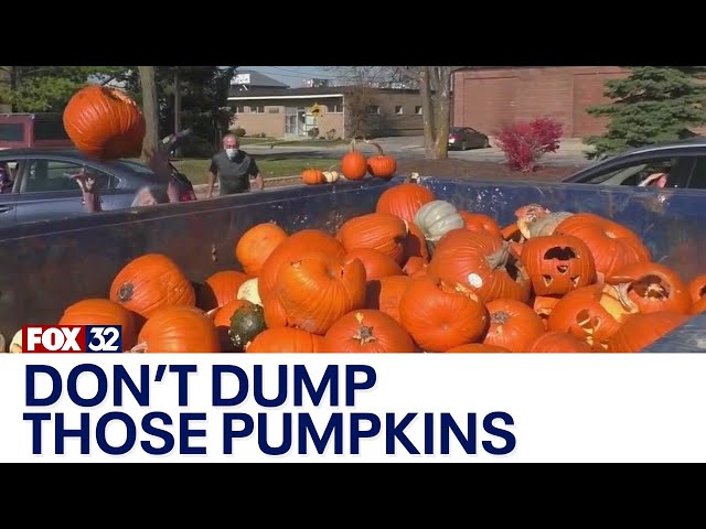 ⁣Leftover pumpkins? DuPage Forest Preserve says think before you dispose