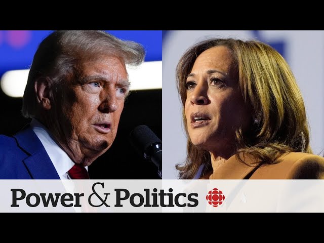 ⁣Harris and Trump campaign in Wisconsin in push to win crucial swing state | Power & Politics