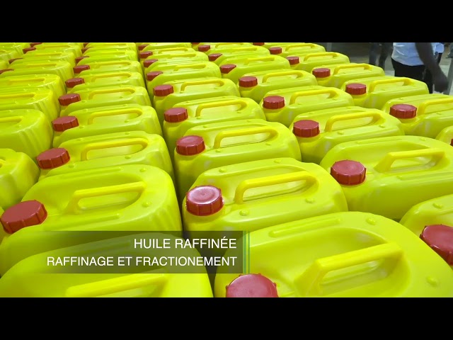 ⁣Autosuffisance alimentaire : Découvrez le gigantesque complexe industriel du Groupe CIAO Guinée