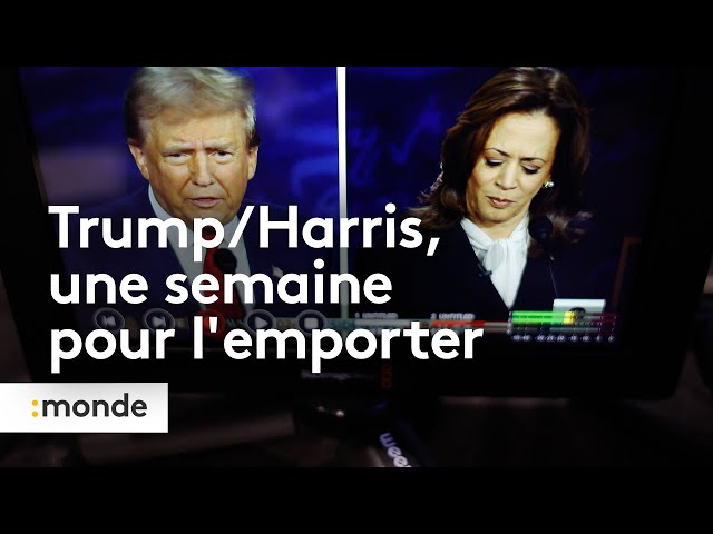 ⁣Trump/Harris, une semaine pour l'emporter